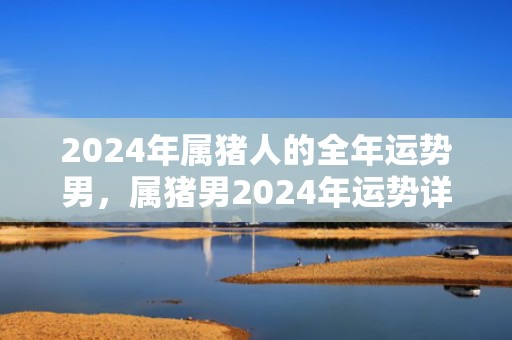 2024年属猪人的全年运势男，属猪男2024年运势详解，2024年属猪人的全年运势男，属猪男2024年运势详解