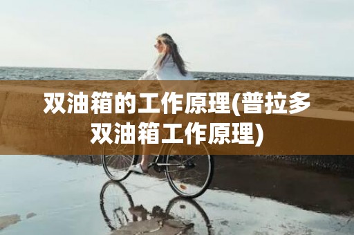 双油箱的工作原理(普拉多双油箱工作原理)