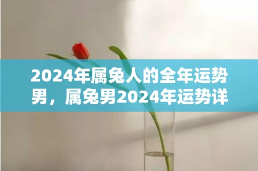 2024年属兔人的全年运势男，属兔男2024年运势详解，2024年属兔人的全年运势男，属兔男2024年运势详解