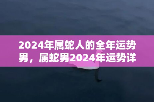 2024年属蛇人的全年运势男，属蛇男2024年运势详解，2024年属蛇人的全年运势男，属蛇男2024年运势详解