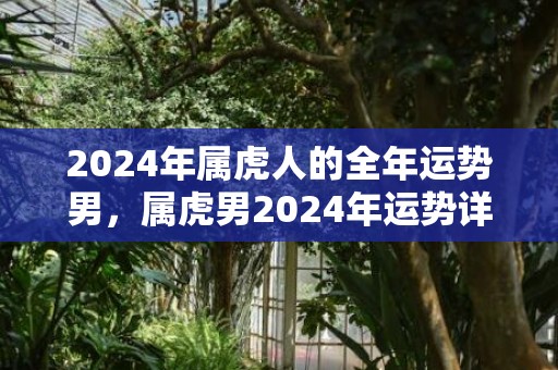 2024年属虎人的全年运势男，属虎男2024年运势详解，2024年属虎人的全年运势男，属虎男2024年运势详解