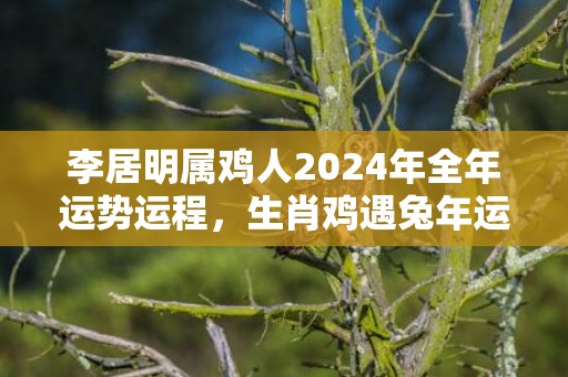 李居明属鸡人2024年全年运势运程，生肖鸡遇兔年运势如何，李居明属鸡人2024年全年运势运程，生肖鸡遇兔年运势如何