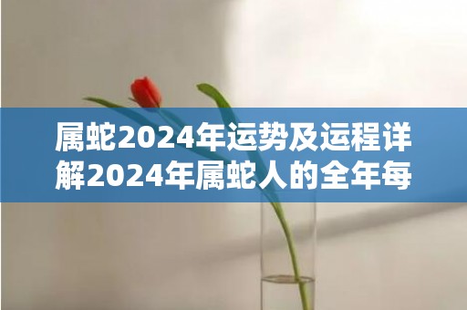 属蛇2024年运势及运程详解2024年属蛇人的全年每月运势，属蛇2024年运势及运程详解2024年属蛇人的全年每月运势