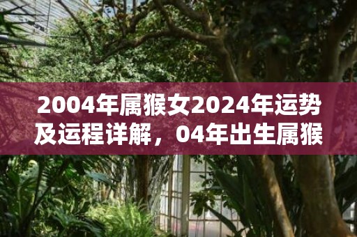 2004年属猴女2024年运势及运程详解，04年出生属猴人2024全年每月运势女性，2004年属猴女2024年运势及运程详解，04年出生属猴人2024全年每月运势女性