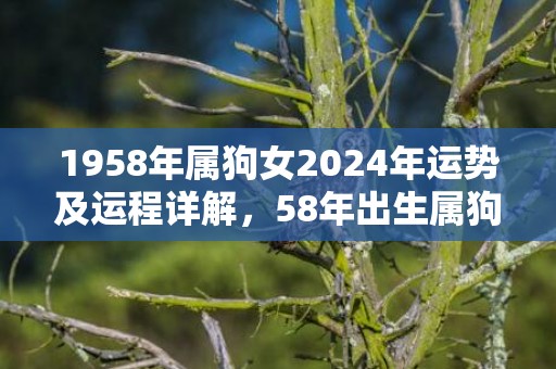 1958年属狗女2024年运势及运程详解，58年出生属狗人2024全年每月运势女性，1958年属狗女2024年运势及运程详解，58年出生属狗人2024全年每月运势女性
