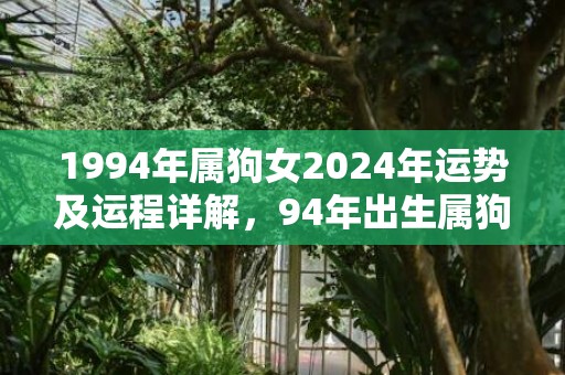 1994年属狗女2024年运势及运程详解，94年出生属狗人2024全年每月运势女性，1994年属狗女2024年运势及运程详解，94年出生属狗人2024全年每月运势女性