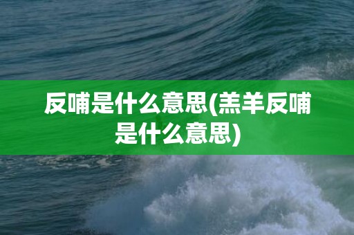 反哺是什么意思(羔羊反哺是什么意思)