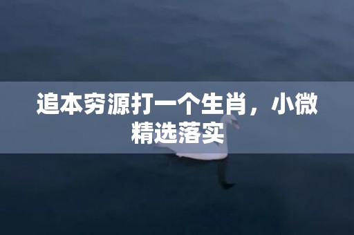 追本穷源打一个生肖，小微精选落实