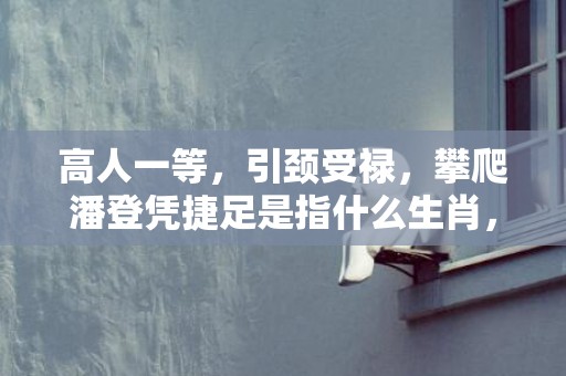 高人一等，引颈受禄，攀爬潘登凭捷足是指什么生肖，最新落实精选