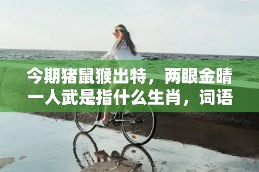 今期猪鼠猴出特，两眼金晴一人武是指什么生肖，词语解释落实