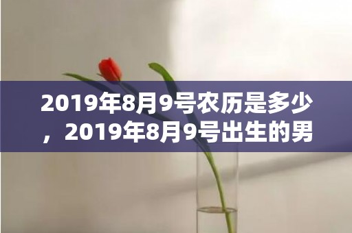2019年8月9号农历是多少，2019年8月9号出生的男宝宝五行缺木要如何起名字