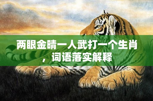 两眼金晴一人武打一个生肖，词语落实解释