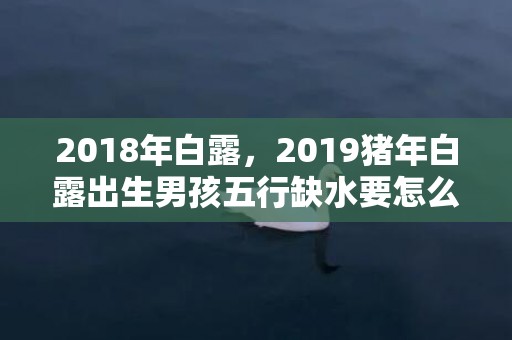 2018年白露，2019猪年白露出生男孩五行缺水要怎么起名字