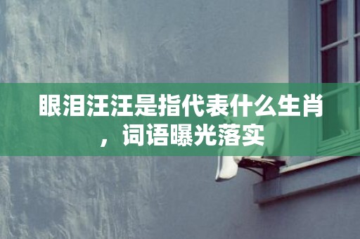 眼泪汪汪是指代表什么生肖，词语曝光落实