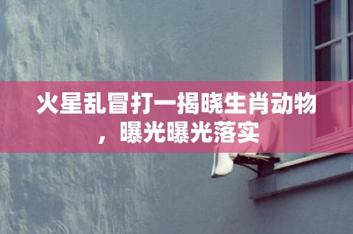 火星乱冒打一揭晓生肖动物，曝光曝光落实