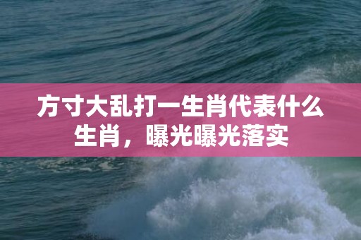 方寸大乱打一生肖代表什么生肖，曝光曝光落实