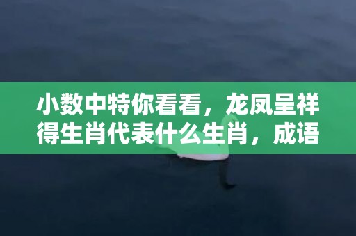 小数中特你看看，龙凤呈祥得生肖代表什么生肖，成语落实解释