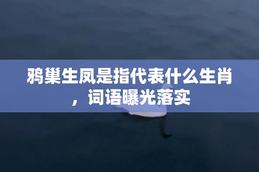 鸦巢生凤是指代表什么生肖，词语曝光落实