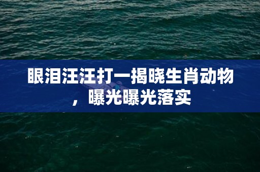 眼泪汪汪打一揭晓生肖动物，曝光曝光落实
