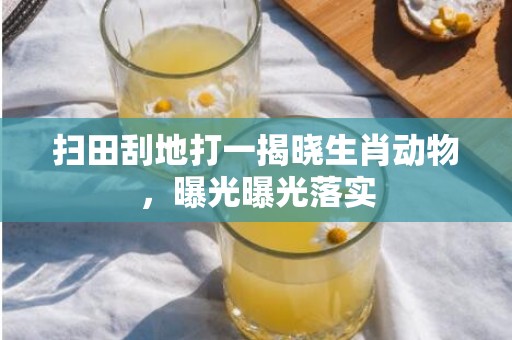 扫田刮地打一揭晓生肖动物，曝光曝光落实