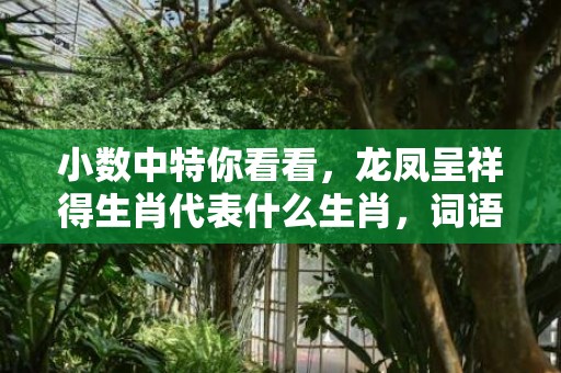 小数中特你看看，龙凤呈祥得生肖代表什么生肖，词语曝光落实