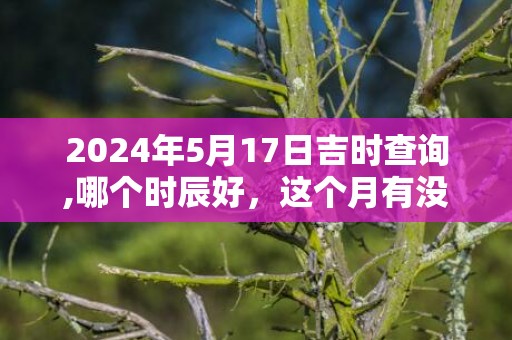 2024年5月17日吉时查询,哪个时辰好，这个月有没有吉日