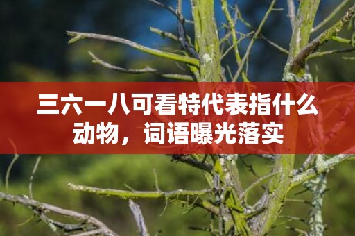 三六一八可看特代表指什么动物，词语曝光落实