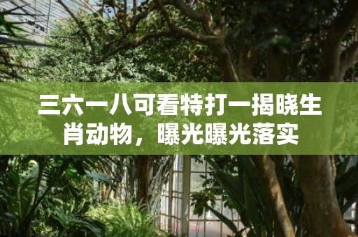 三六一八可看特打一揭晓生肖动物，曝光曝光落实