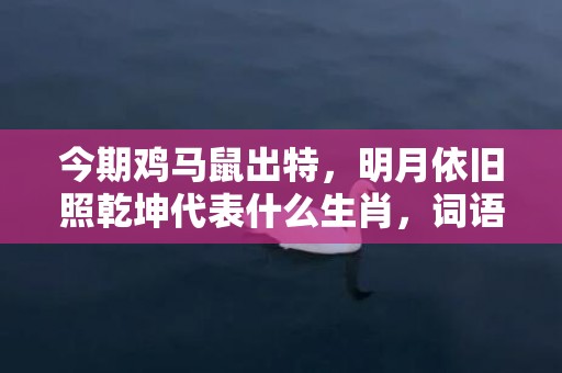 今期鸡马鼠出特，明月依旧照乾坤代表什么生肖，词语曝光落实