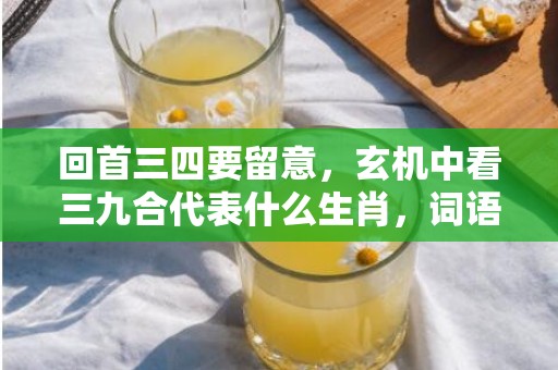 回首三四要留意，玄机中看三九合代表什么生肖，词语曝光落实