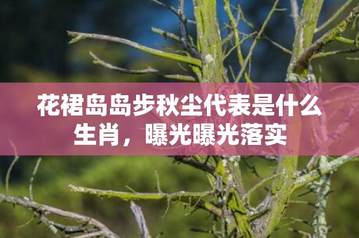花裙岛岛步秋尘代表是什么生肖，曝光曝光落实