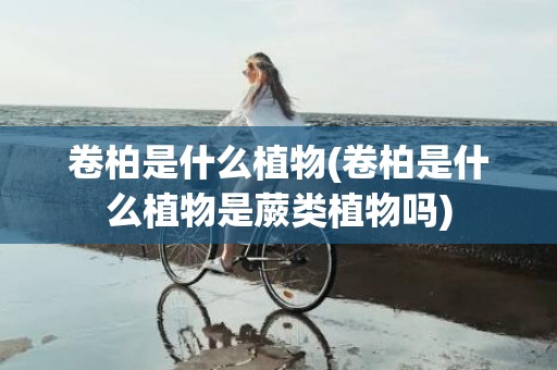 卷柏是什么植物(卷柏是什么植物是蕨类植物吗)