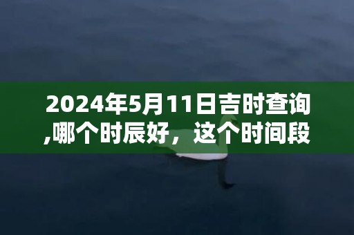 2024年5月11日吉时查询,哪个时辰好，这个时间段是吉日吗