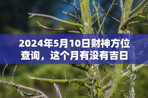 2024年5月10日财神方位查询，这个月有没有吉日