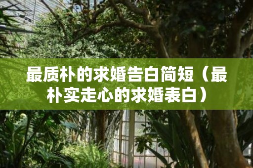最质朴的求婚告白简短（最朴实走心的求婚表白）