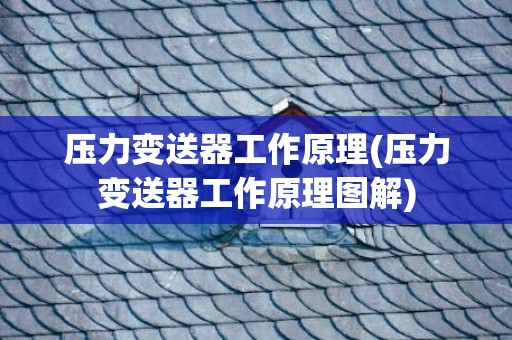 压力变送器工作原理(压力变送器工作原理图解)