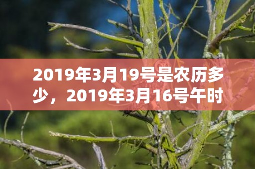 2019年3月19号是农历多少，2019年3月16号午时出生的女孩起什么名字最好