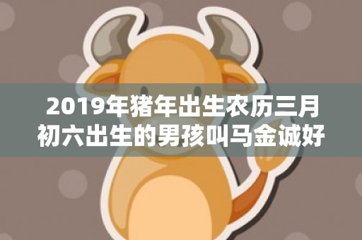 2019年猪年出生农历三月初六出生的男孩叫马金诚好吗，2019年猪年出生公仲姓女孩怎么样起名字，公仲姓女孩好名推荐