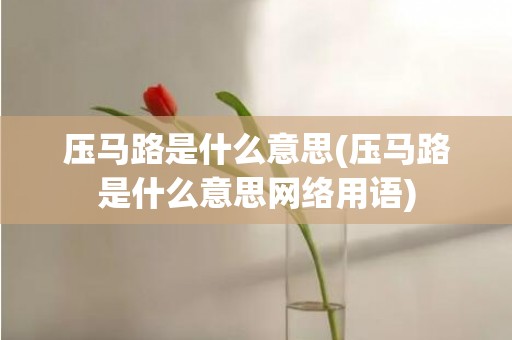 压马路是什么意思(压马路是什么意思网络用语)