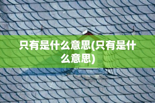 只有是什么意思(只有是什么意思)