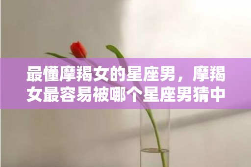 最懂摩羯女的星座男，摩羯女最容易被哪个星座男猜中？