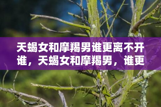 天蝎女和摩羯男谁更离不开谁，天蝎女和摩羯男，谁更离不开谁？