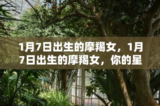 1月7日出生的摩羯女，1月7日出生的摩羯女，你的星座揭示了什么？