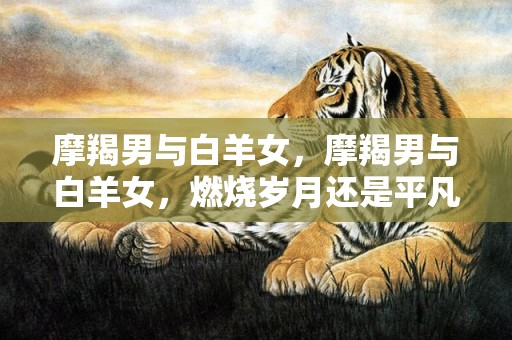 摩羯男与白羊女，摩羯男与白羊女，燃烧岁月还是平凡婚姻？