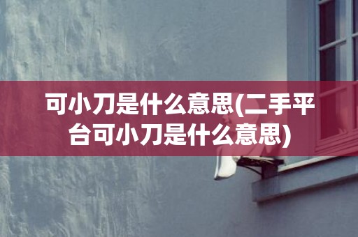 可小刀是什么意思(二手平台可小刀是什么意思)