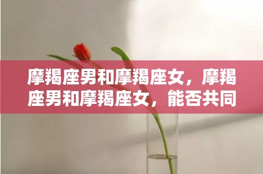 摩羯座男和摩羯座女，摩羯座男和摩羯座女，能否共同创造幸福的人生？