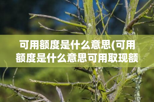 可用额度是什么意思(可用额度是什么意思可用取现额度)