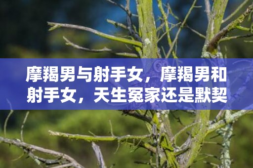 摩羯男与射手女，摩羯男和射手女，天生冤家还是默契拍档？