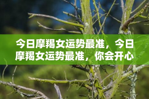 今日摩羯女运势最准，今日摩羯女运势最准，你会开心吗？