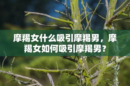 摩羯女什么吸引摩羯男，摩羯女如何吸引摩羯男？